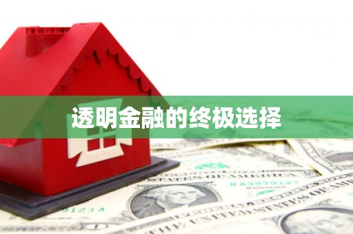 红寺堡透明金融的终极选择