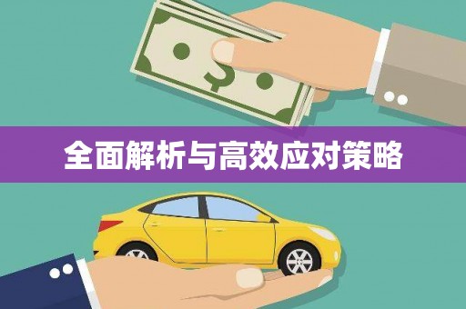 红寺堡全面解析与高效应对策略